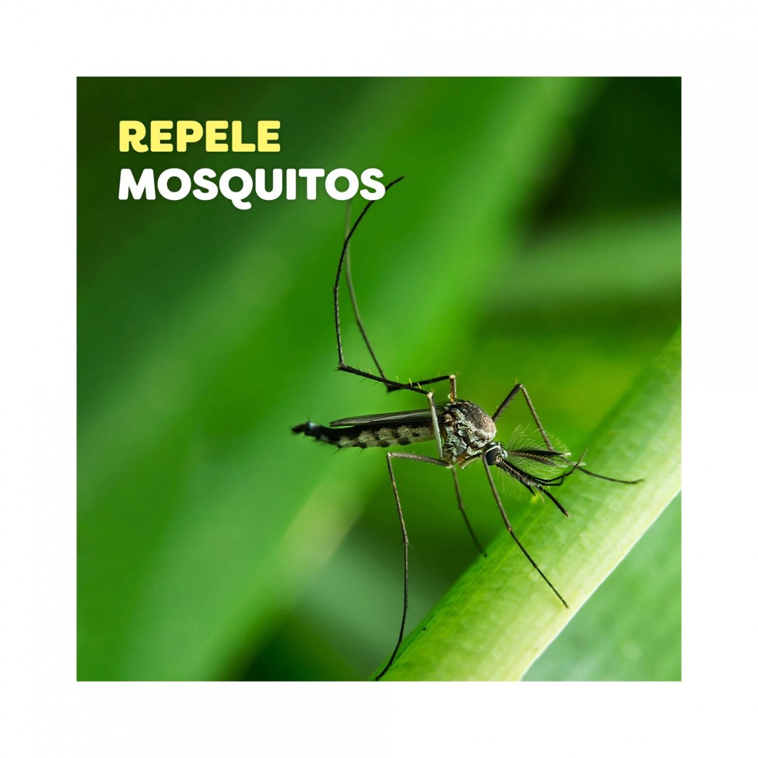 off-repelente-aerosol-x-170-cc-jwp341